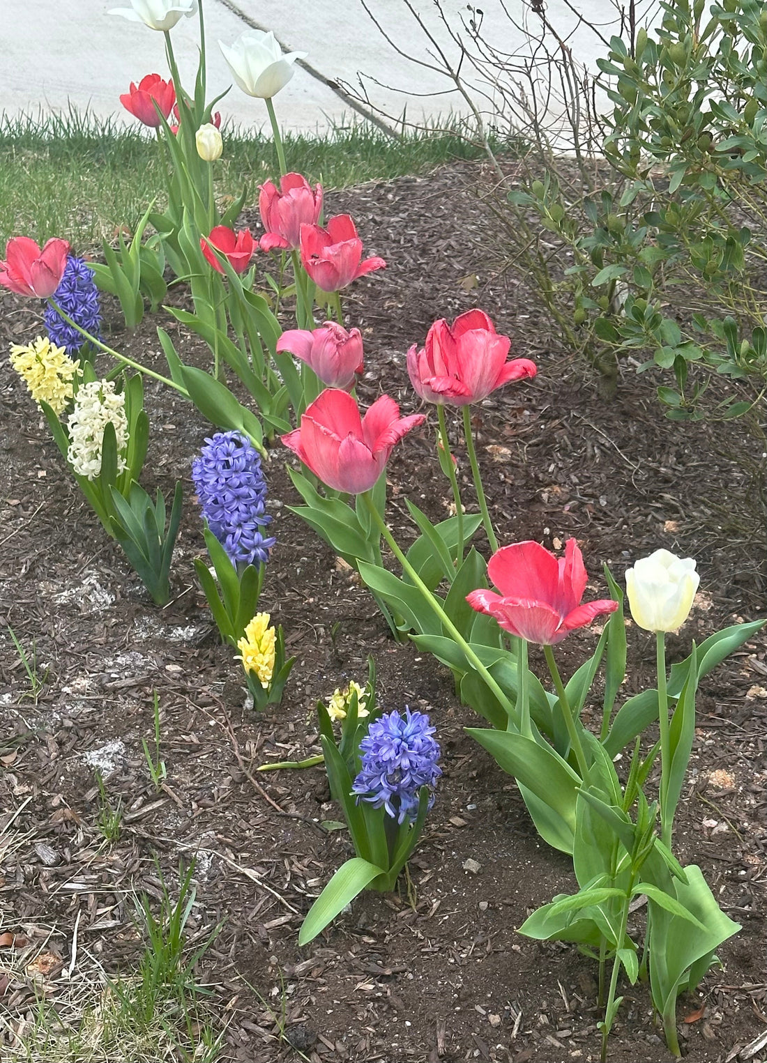Stillness in a Season of Growth